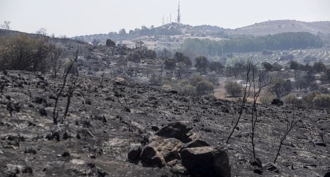 Unas 1.600 hectáreas quemadas en la Bastida y Montesión