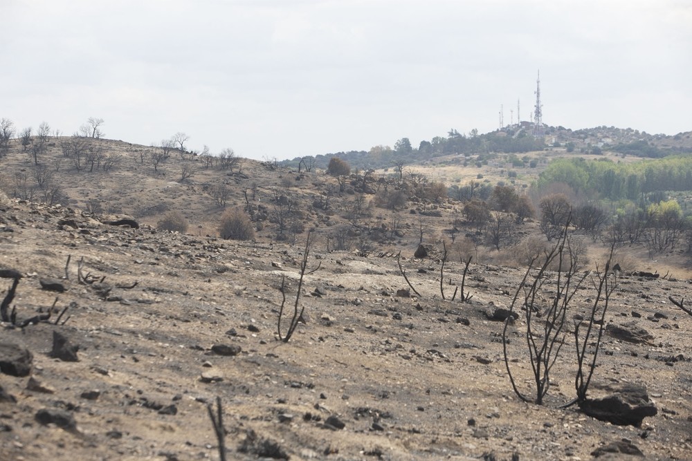 El fuego desvastó 1.227 hectáreas de monte mediterráneo.