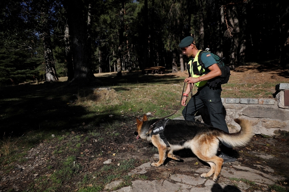 Encuentran el cadáver de una mujer en Cercedilla