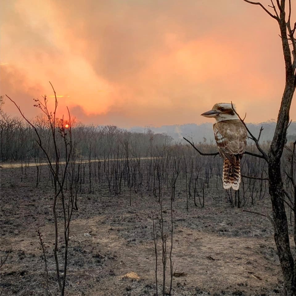 Australia evacúa a cientos de personas por los incendios 