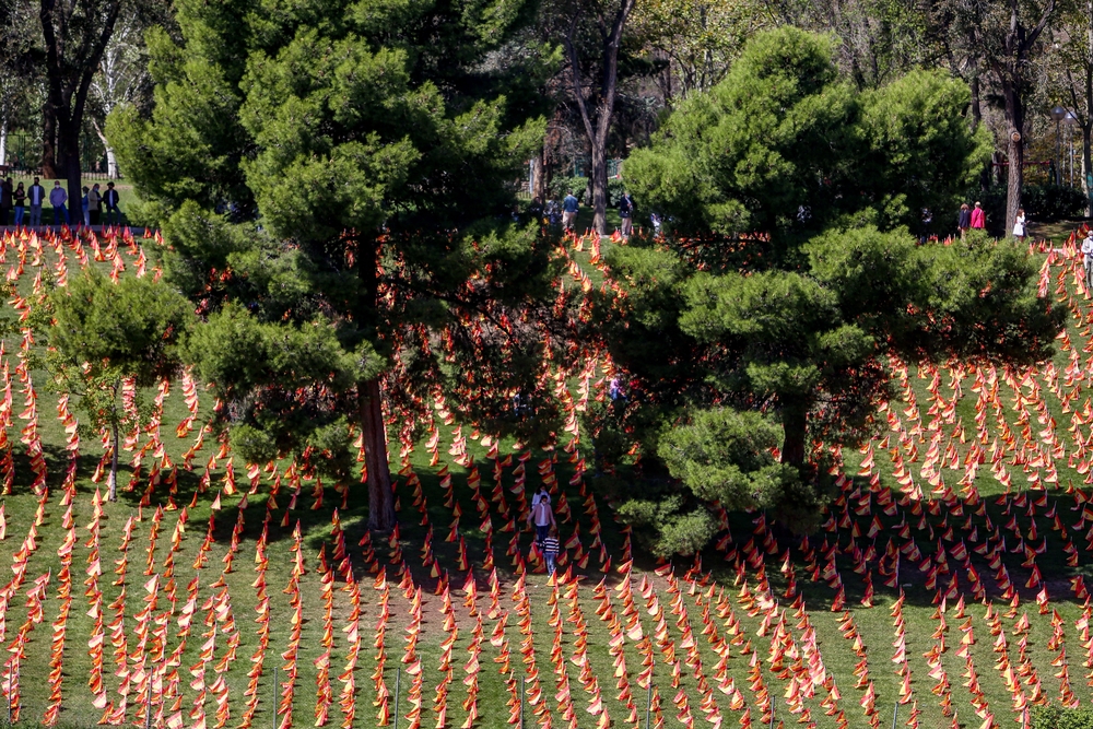 Colocan 53.000 banderas de España para homenajear a los fallecidos de Covid-19  / RICARDO RUBIO