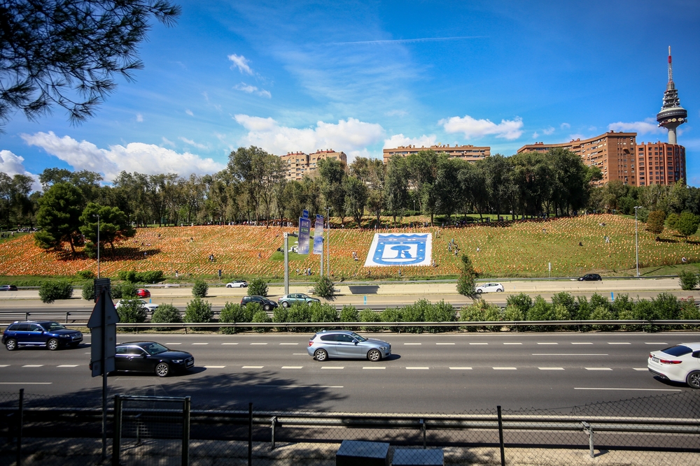 Colocan 53.000 banderas de España para homenajear a los fallecidos de Covid-19  / RICARDO RUBIO