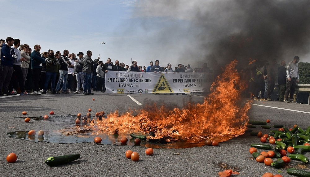 El sector hortofrutícola de Almería protesta por su situació