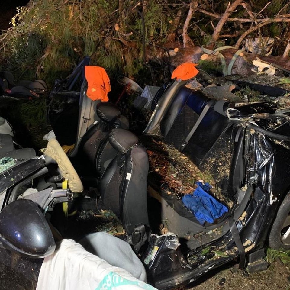 Heridos un niño y un hombre por caer un árbol sobre su coche