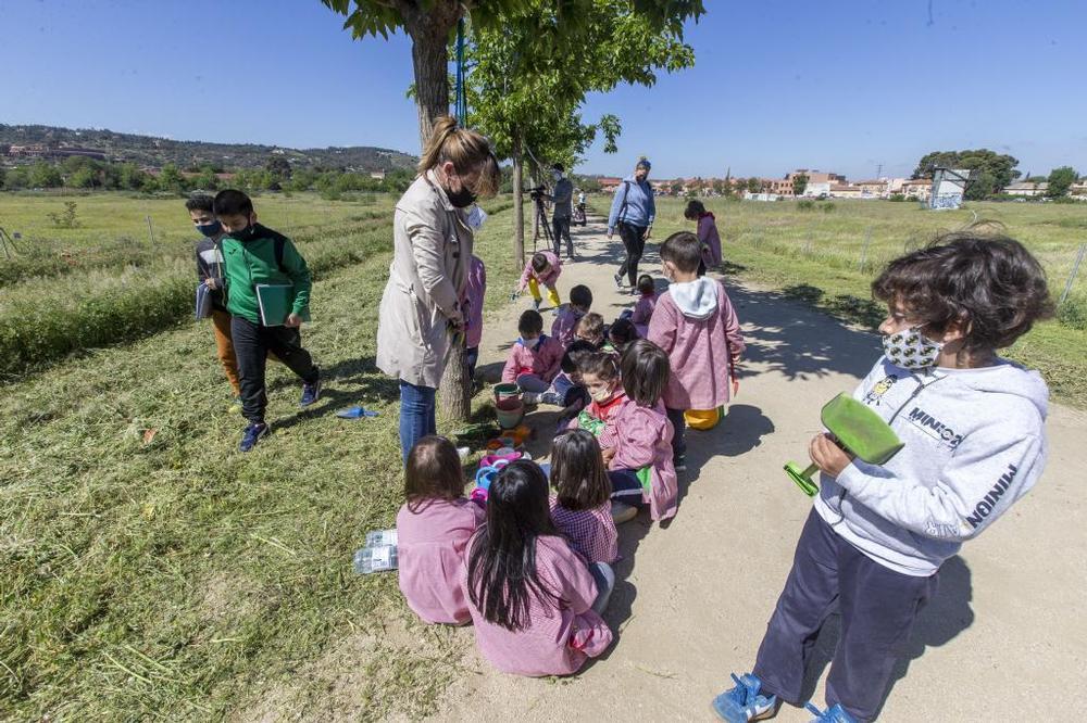 «Siempre que podamos plantemos un árbol»
