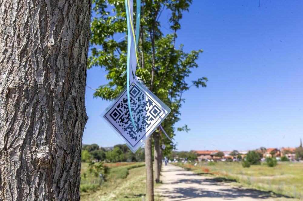 «Siempre que podamos plantemos un árbol»
