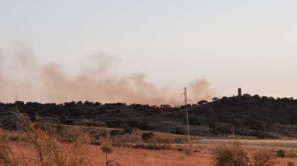 Los bomberos sofocan un incendio forestal cerca del hospital