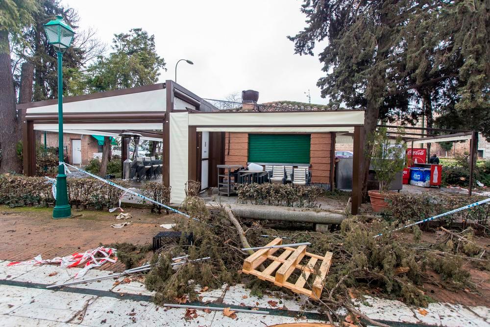 La 'zona cero' de la Vega tras Filomena