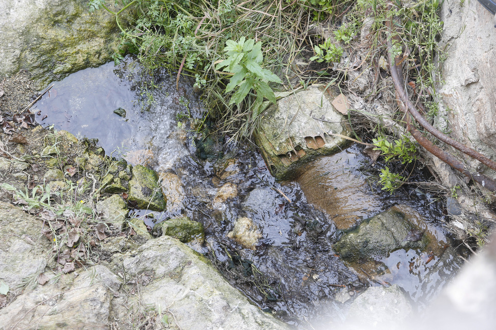 Agua estancada junto a una tubería en el entorno del arroyo.