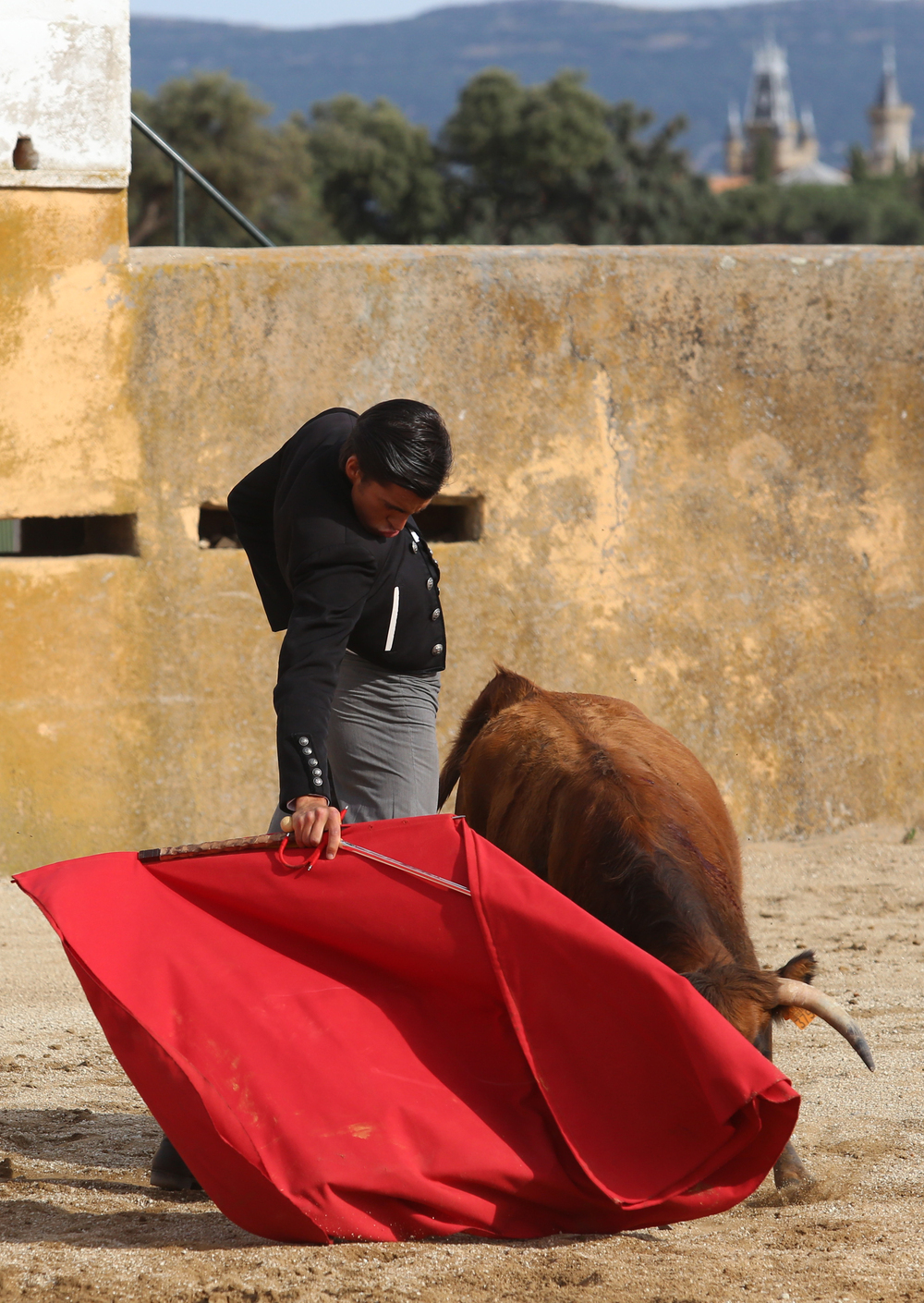 Téllez continúa su preparación en el campo de cara a sus próximos compromisos.