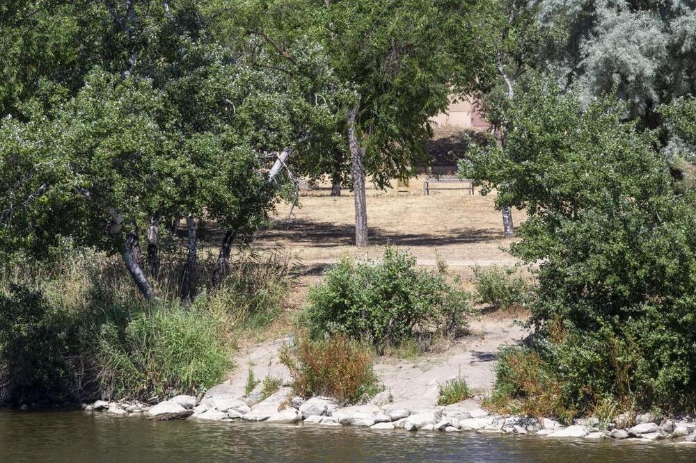 El Tajo continúa con un caudal alarmante