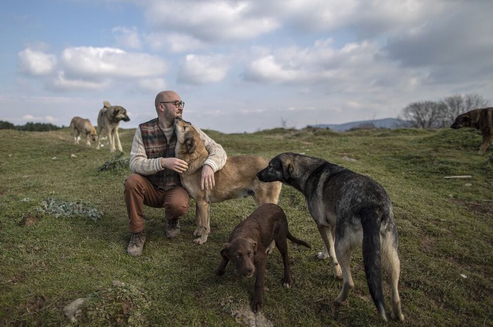 Turkish entrepeneur lives with dozens of animals  / ERDEM SAHIN