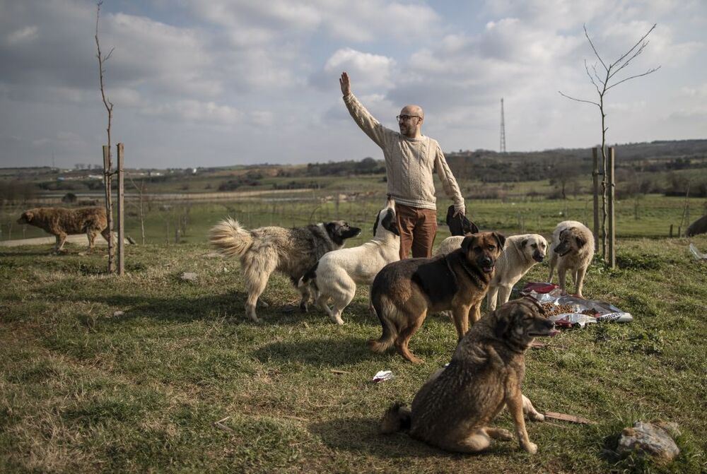 Turkish entrepeneur lives with dozens of animals  / ERDEM SAHIN