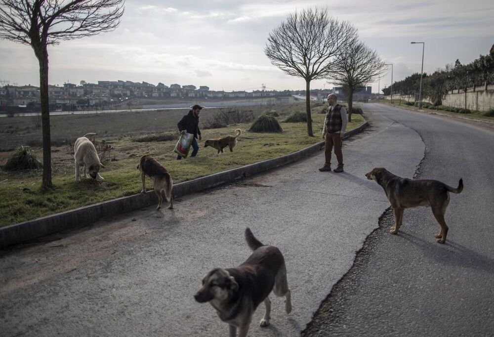 Turkish entrepeneur lives with dozens of animals  / ERDEM SAHIN