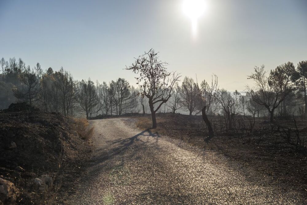 No presenta llamas ya la mayor parte del perímetro del incendio de Bejís  / BIEL ALIÑO