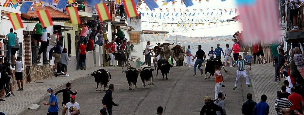 Sólo se pudieron ver toros en las calles en Villaseca de la Sagra,
