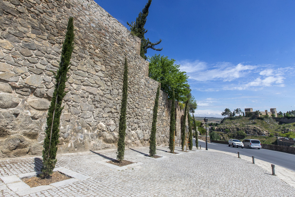 Toledo disfruta de 1.225 nuevos árboles tras la replantación