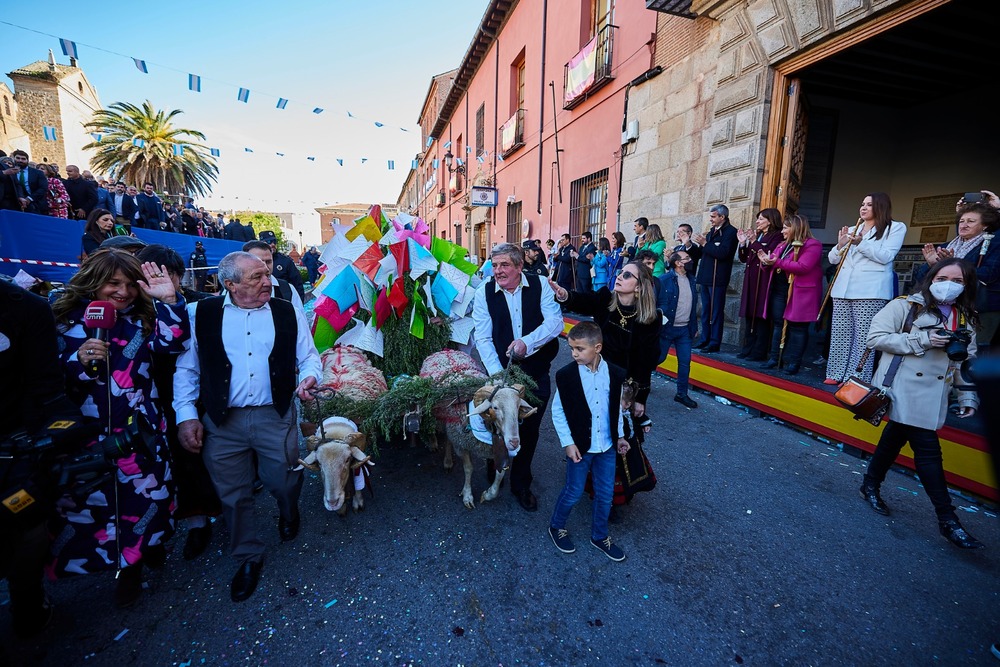 Los carneros tiran del carrito en la salida del cortejo de Mondas en la plaza del Pan.  / MANU REINO