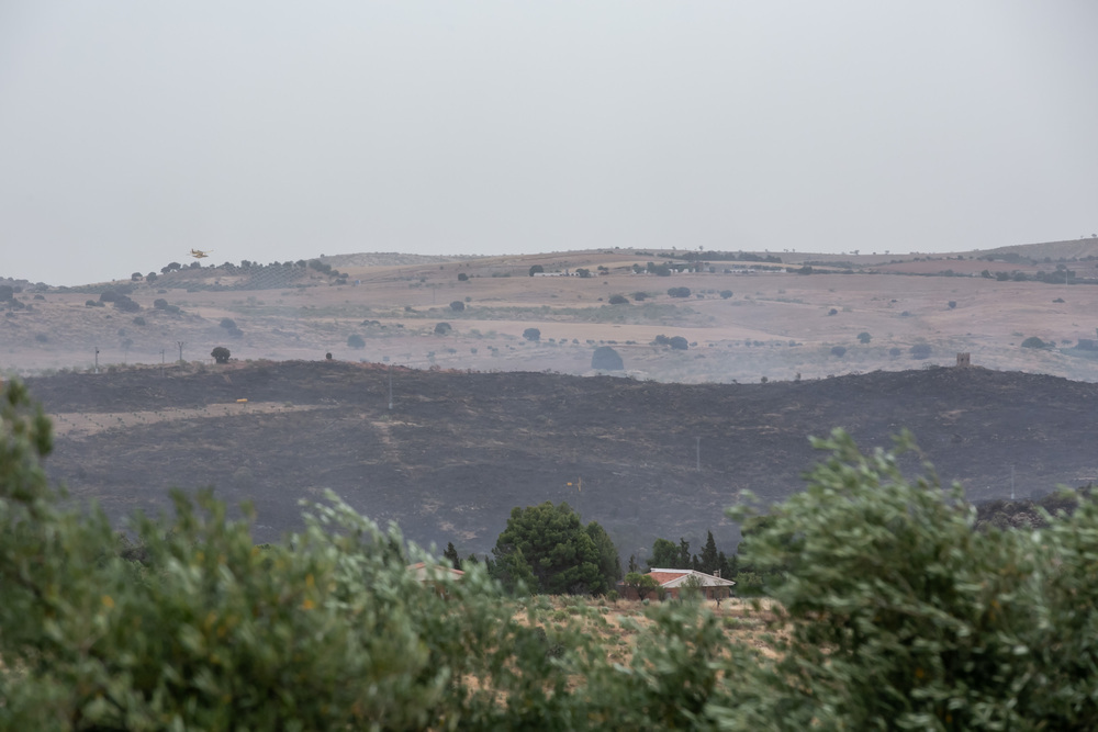 El fuego de Finca Zurraquín ha afectado a unas 900 hectáreas