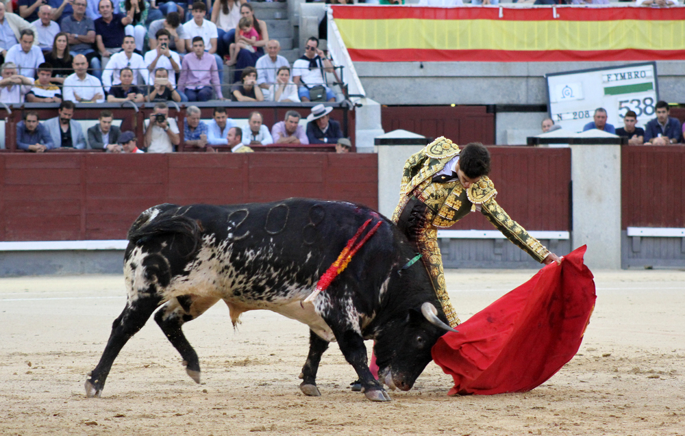 Tomás Rufo llega con un gran ambiente a su cita de este lunes en Sevilla.