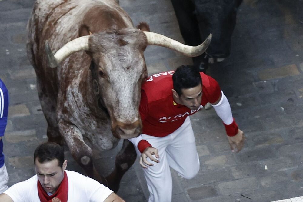 Séptimo encierro de San Fermín  / JESUS DIGES