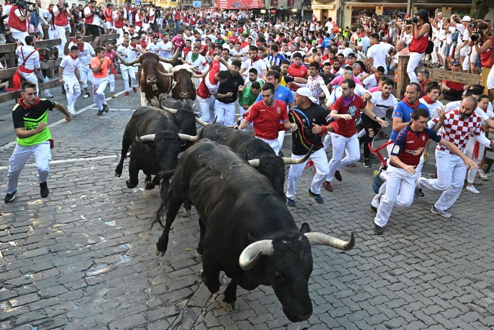 Séptimo encierro de San Fermín  / DANIEL FERNANDEZ