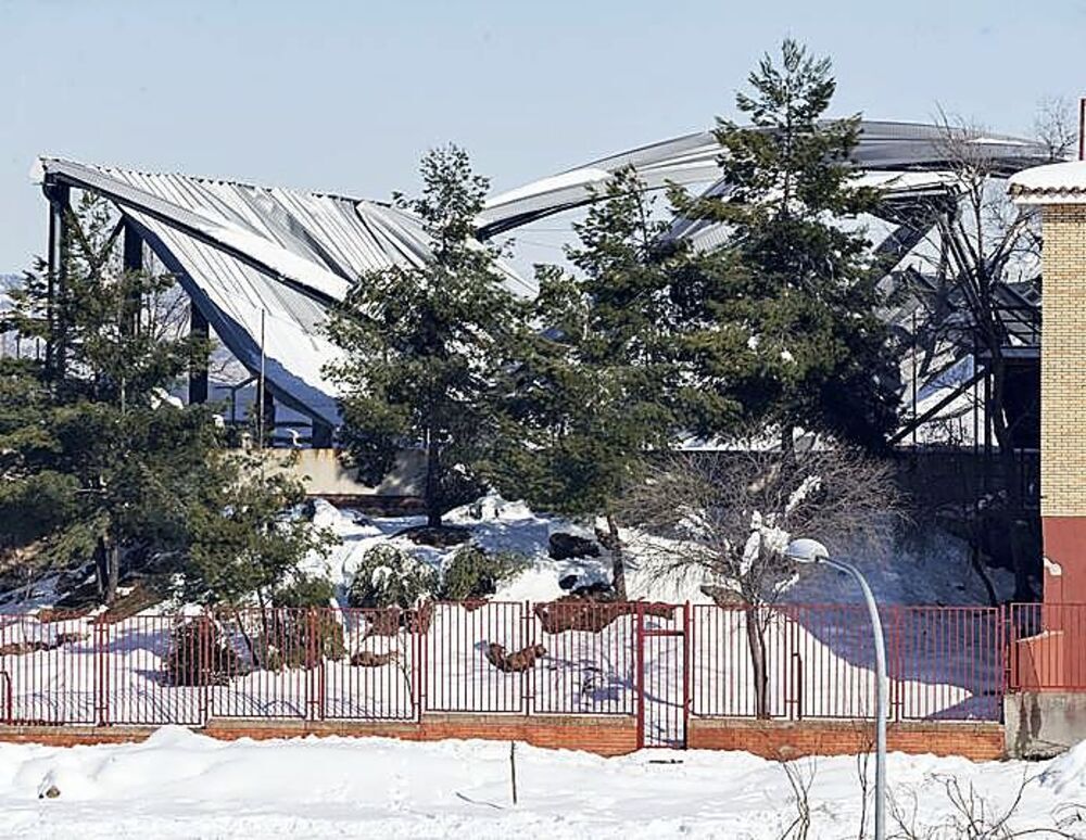Las cubiertas de varias pistas deportivas de colegios de la ciudad cedieron por el peso de la nieve.