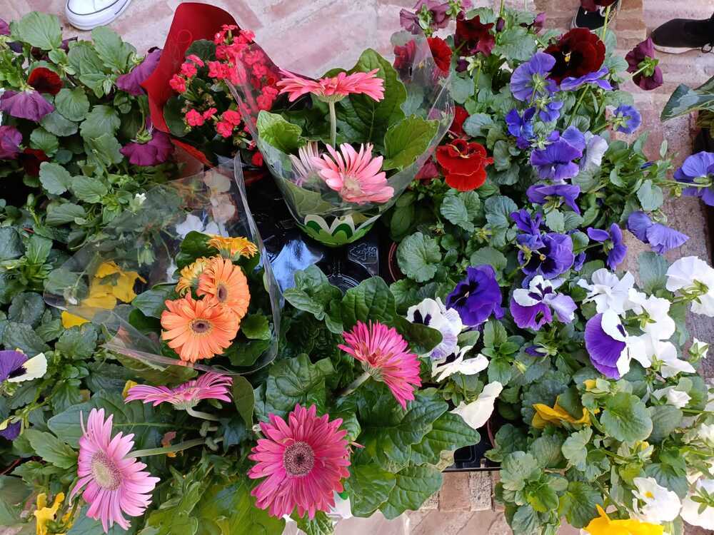 El mercado de las flores tiene horario de 10 a 14 horas.