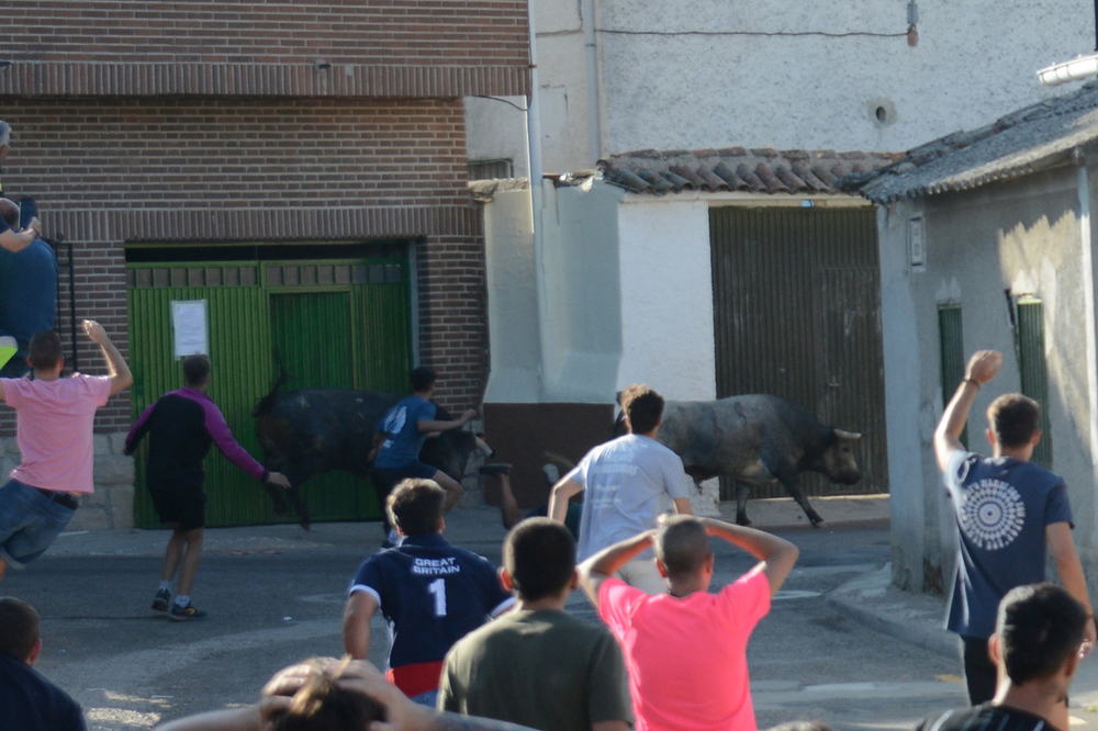 Corneado un varón en los encierros de Santa Cruz del Retamar