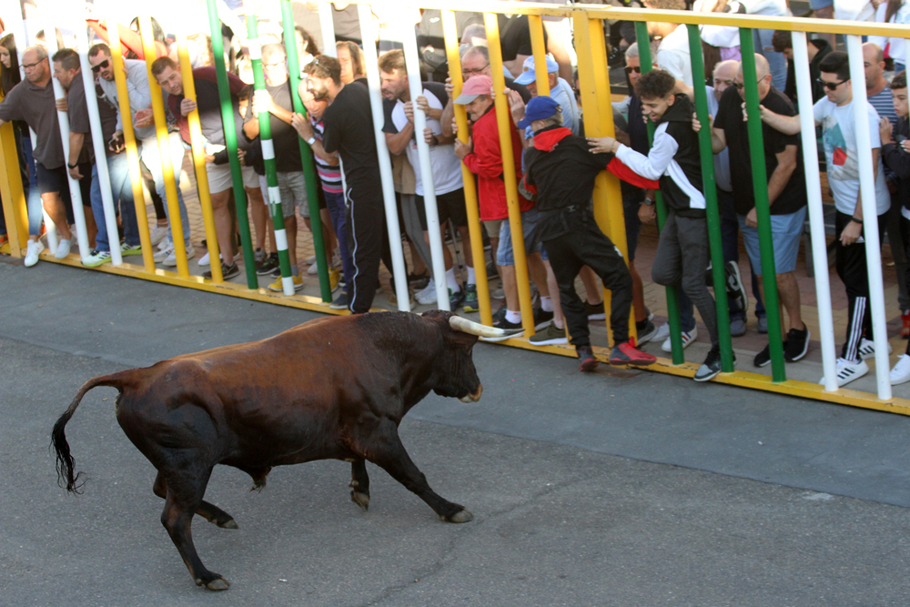 Villaseca respira toro en las calles