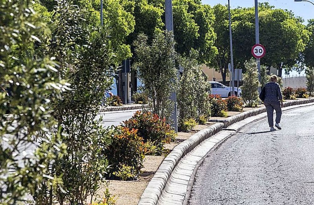 Plantaciones en la avenida Irlanda.