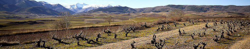 La Rioja degusta la primavera