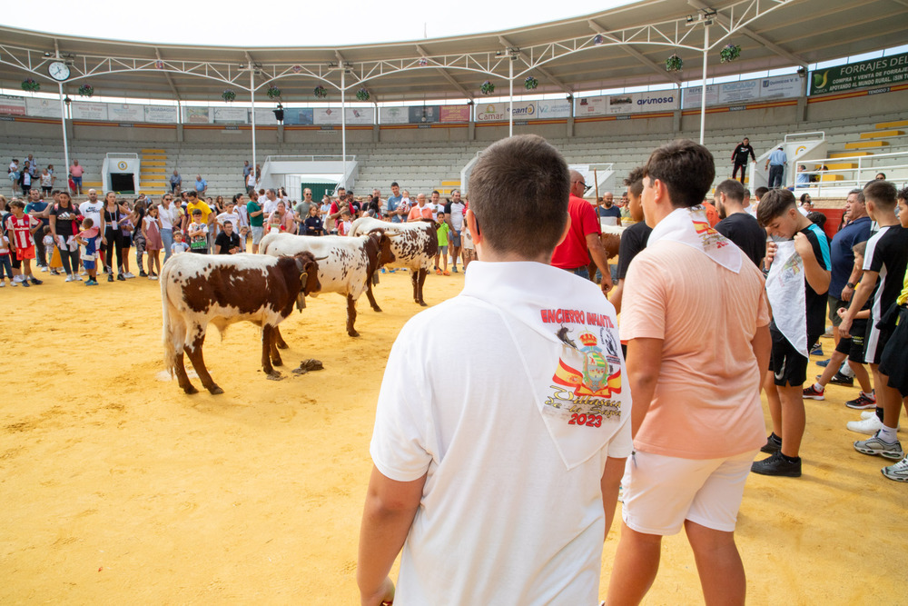  La fiesta ha continuado con los recortes infantiles y la suelta de cabestritos que han hecho las delicias en todos los participantes.