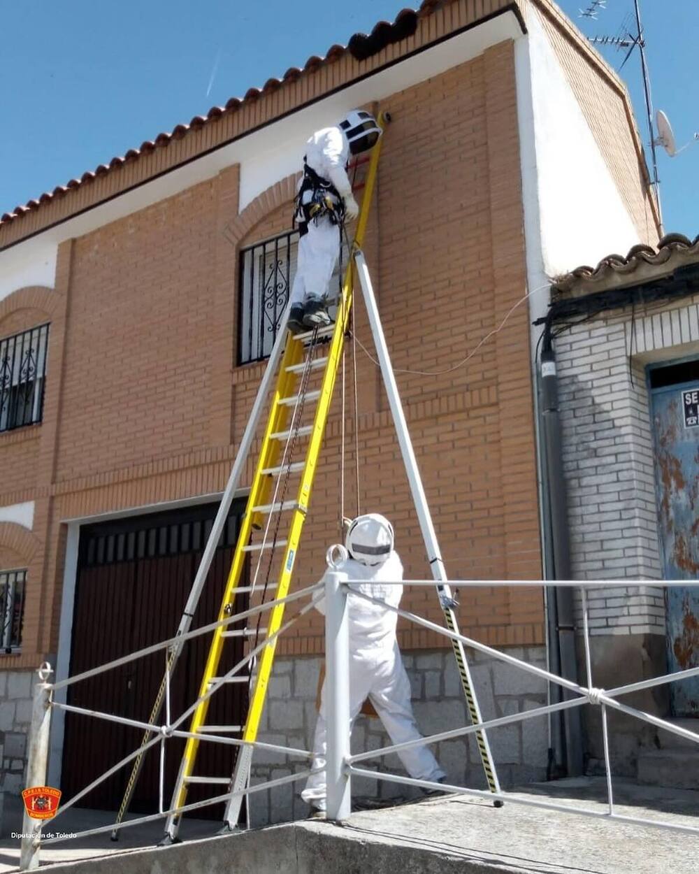 Enjambre: La revuelta unánime de las abejas