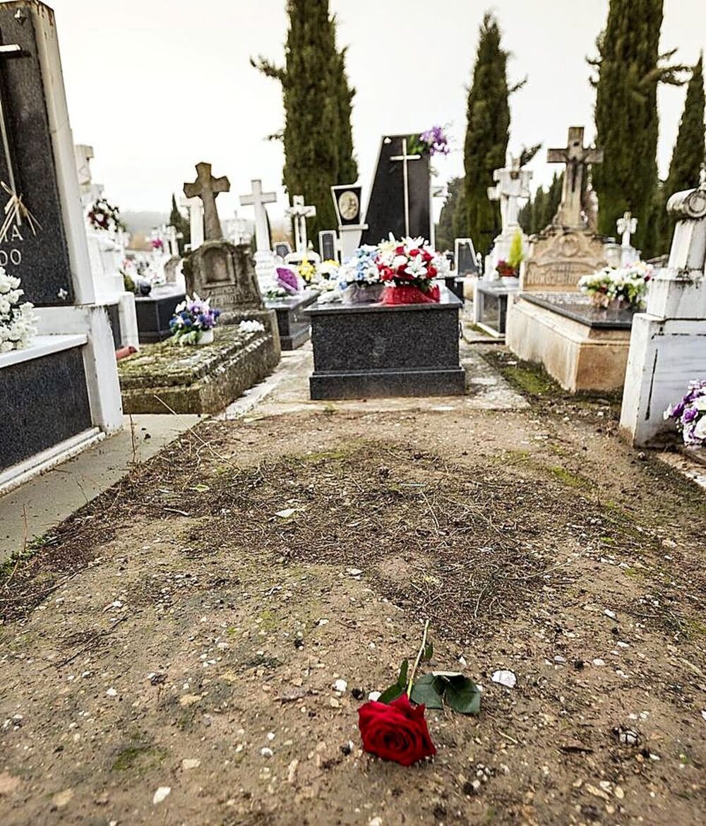 Una rosa en la tumba de Dominga, en el cementerio de Burgos. 