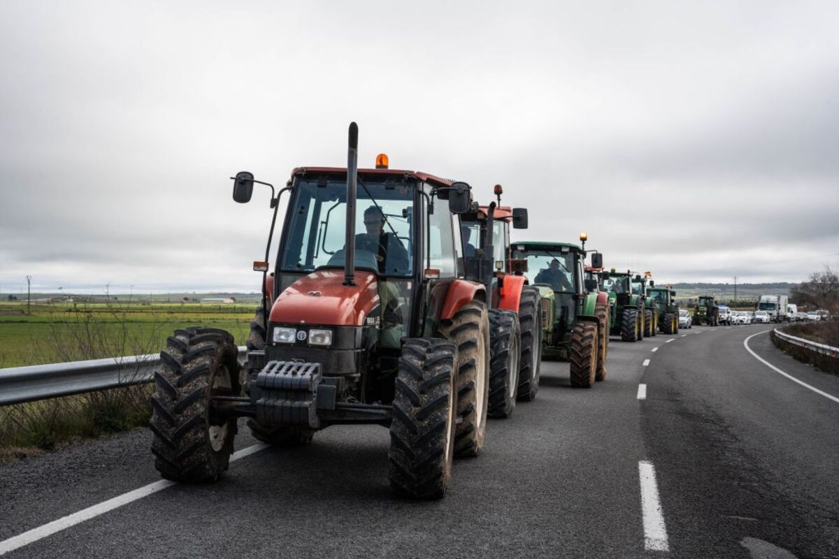 Sexta jornada de protestas de los tractores en las carreteras españolas para pedir mejoras en el sector  / MATIAS CHIOFALO