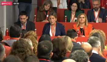 Tolón, en el Comité Federal del PSOE: 'No todo va en el cargo'
