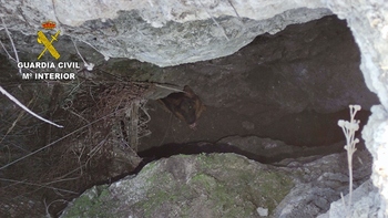 Rescatan a 'Reina' de una grieta de 6 metros en Seseña