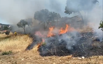 Nuevo foco de incendio en la provincia en Malpica del Tajo