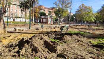 El PP reclama información sobre la tala de árboles en El Prado