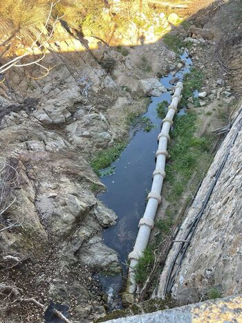 Vertido de aguas residuales en el arroyo de la Cabeza