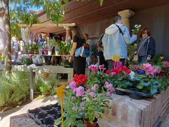 El Jardín de San Lucas reverdece con el mercado de las flores