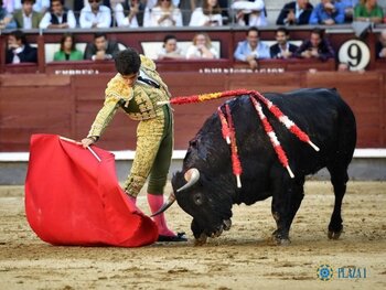 Castilla-La Mancha, cantera de toreros