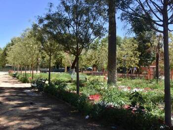 PSOE critica que los jardines hayan sido «abandonados» 4 meses