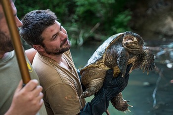 Capturada en Méntrida una tortuga que puede amputar dedos