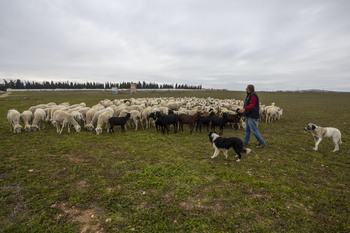 CLM forma a nuevos pastores, con una empleabilidad del 100%