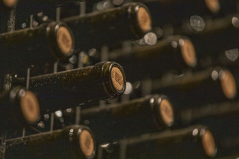 El sector del vino potencia su presencia en el extranjero