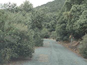 La carretera fantasma de Pelahustán
