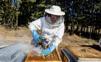 Decepcionante propuesta para el etiquetado de la miel