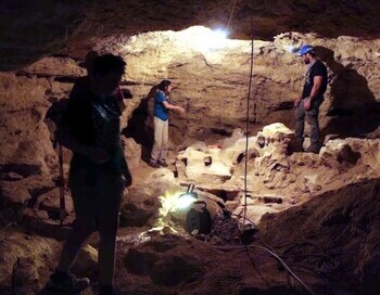 Hallados 1.000 fósiles del pleistoceno en Ciudad Real
